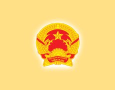 Lợi ích của việc cho trẻ đến trường mầm non sớm, đúng độ tuổi.