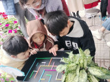 z5206702645810-8ae7ffb0dc9cde14a5d0ea481e0dd1c7.jpg