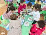 z6214641844827-033d5a689d56f6395c1446bfc14ba803.jpg