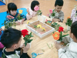 cam-hoa-A2-12.jpg