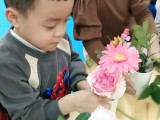 cam-hoa-A2-20.jpg