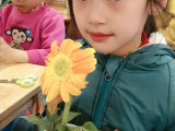 cam-hoa-A2-24.jpg
