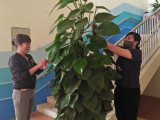 IMG20200308085009.jpg